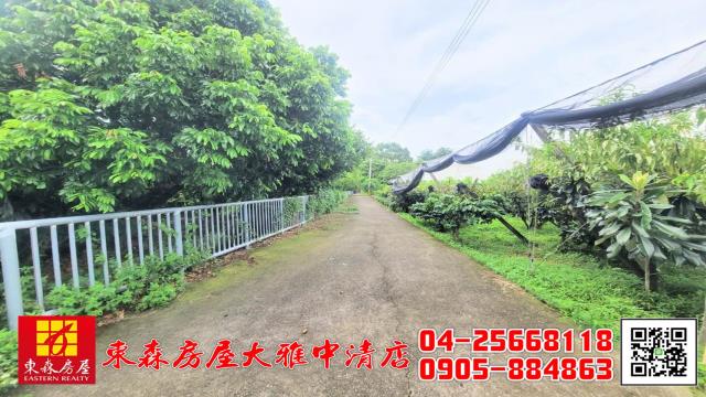 台中新社農地-6