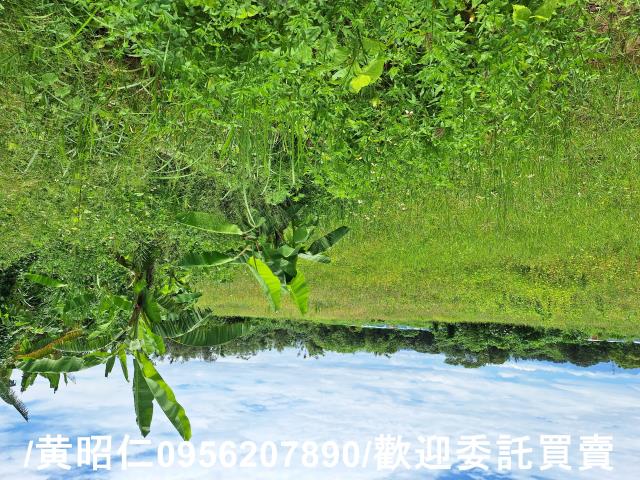 山上農地-4