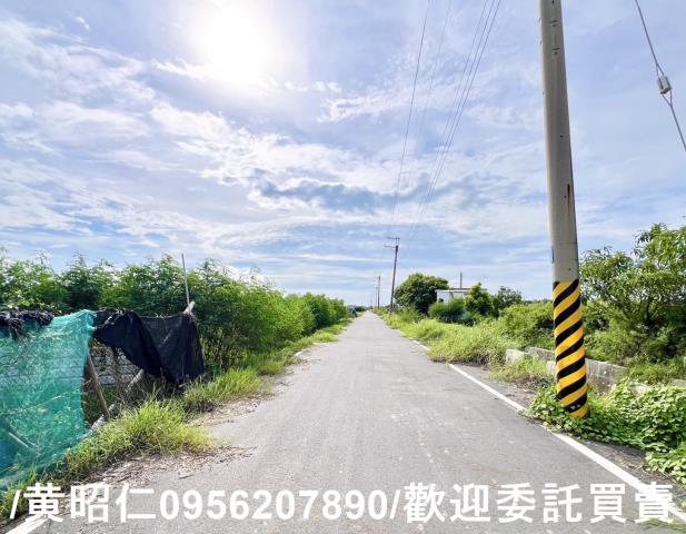 麻豆農地-2