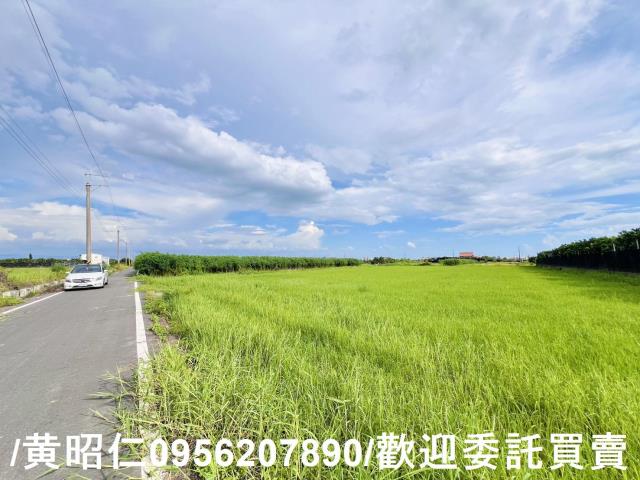 麻豆農地-3