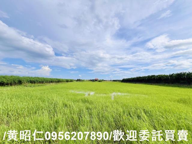 麻豆農地-4