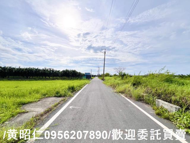 麻豆農地-5