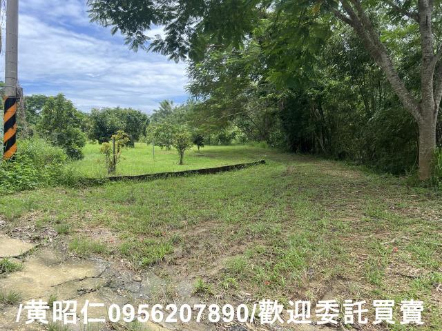 台南左鎮農地-3