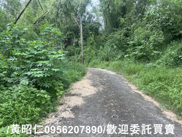 台南左鎮農地-6