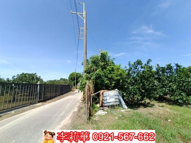 麻豆農地-2