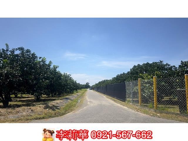 麻豆農地-4