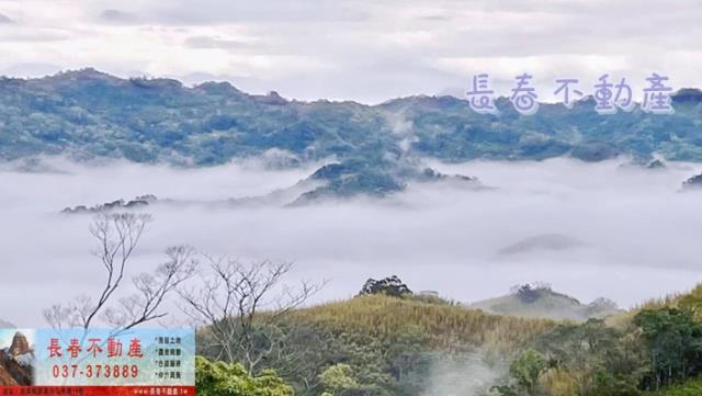 銅鑼農地-2