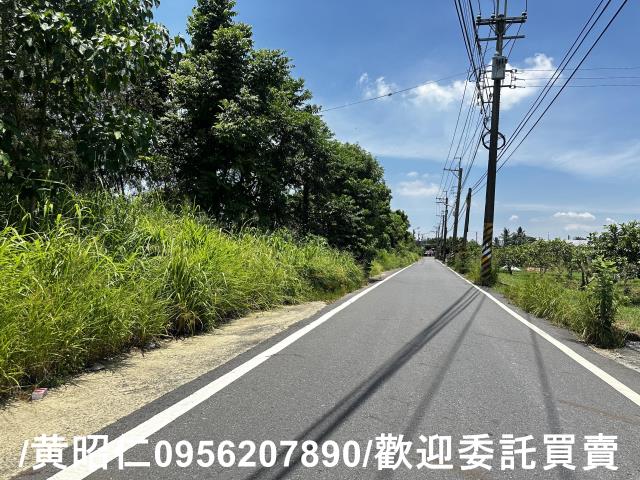 玉井農地-1