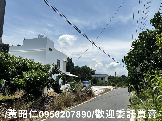 玉井農地-4