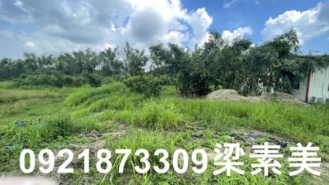 關廟農地-6