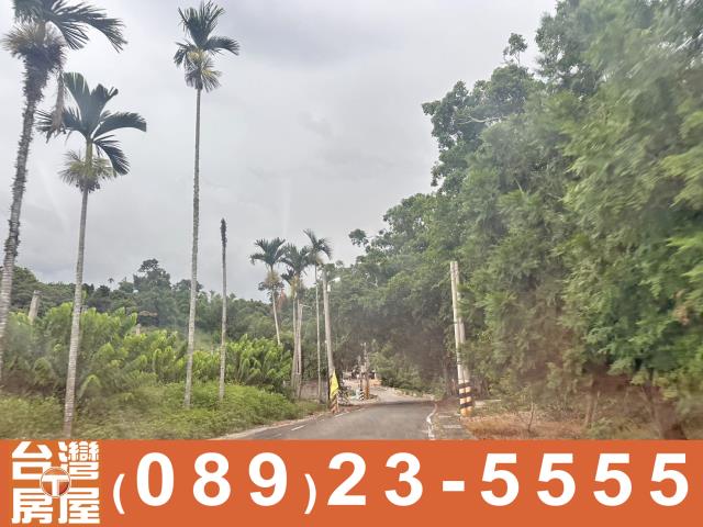 台東農地-10