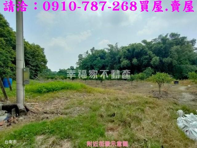 台南新化農地-12