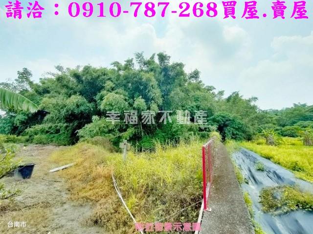 台南新化農地-3