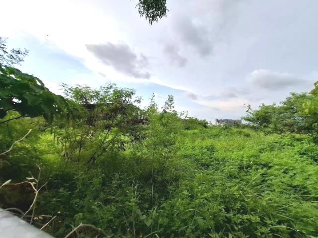 永康建地-4