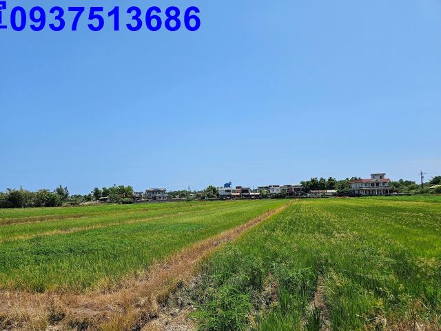 宜蘭壯圍農地-5