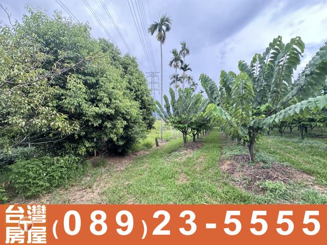 台東卑南農地-9