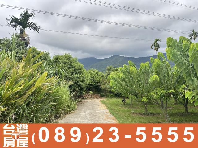 台東卑南農地-10