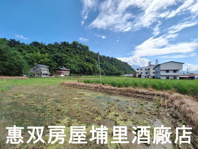 埔里農地-2