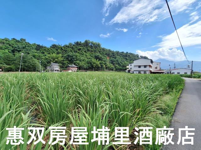 埔里農地-6