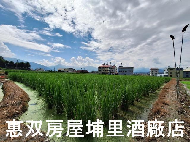 埔里農地-7