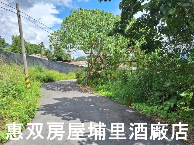 埔里農地-3