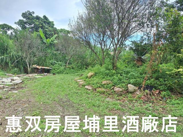 埔里農地-6