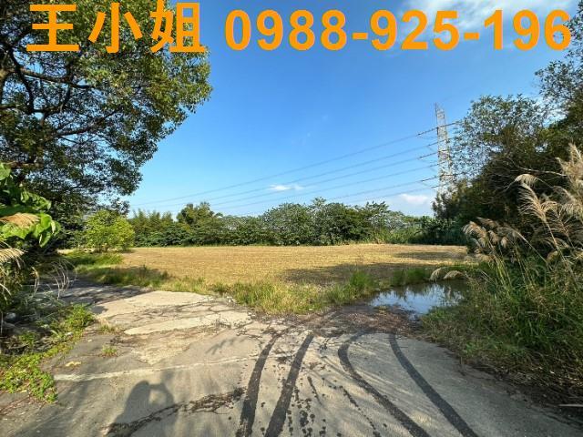大溪農地-10