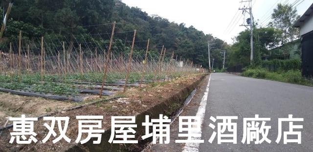 南投農地-4