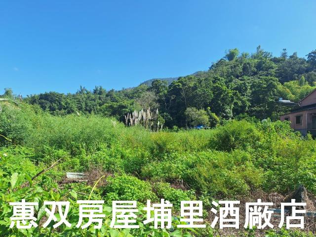 埔里農地-1