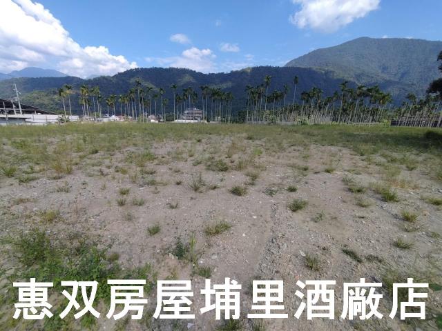 埔里農地-3