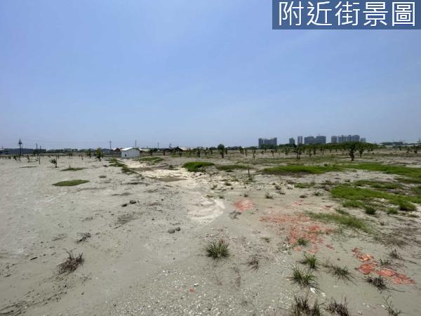 台南仁德農地-4