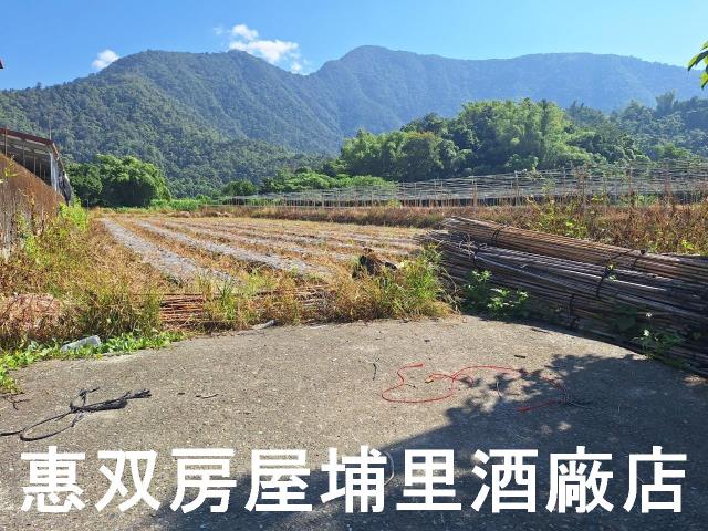 南投埔里農地-4