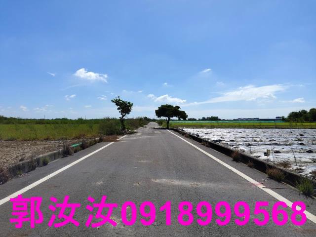 鹽水農地-12