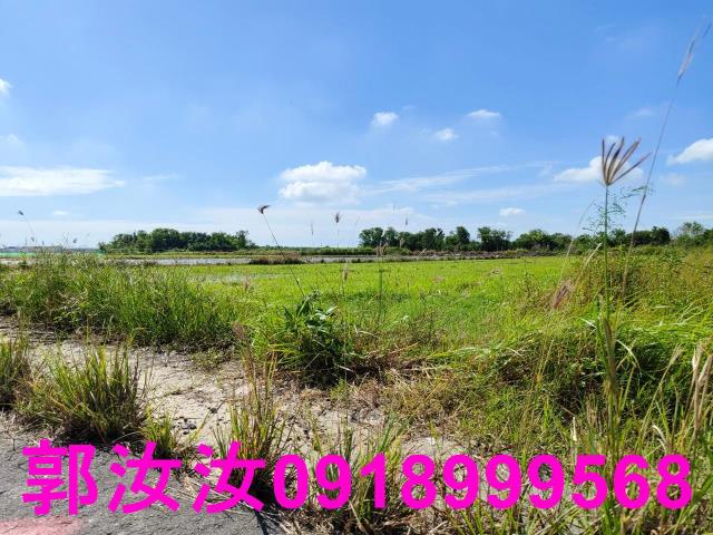 鹽水農地-2