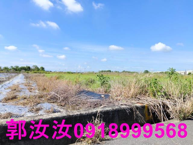 鹽水農地-3