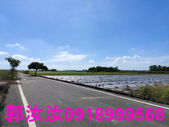 鹽水農地-4