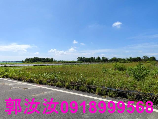 鹽水農地-9