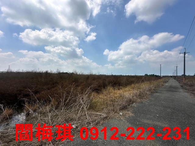 台南農地-5