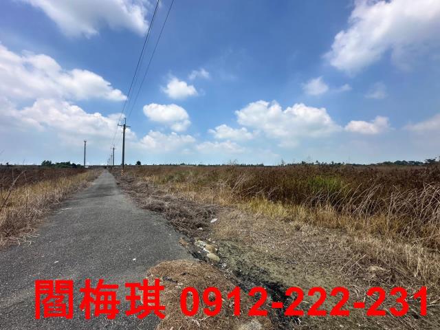 台南農地-6