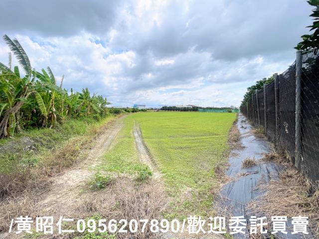 台南麻豆農地-4