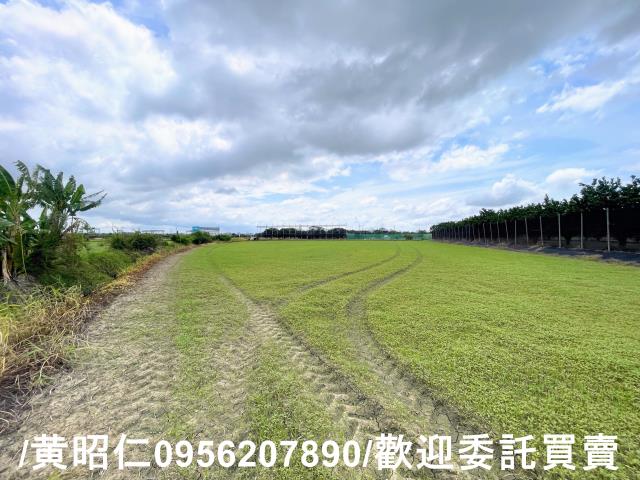 台南麻豆農地-5