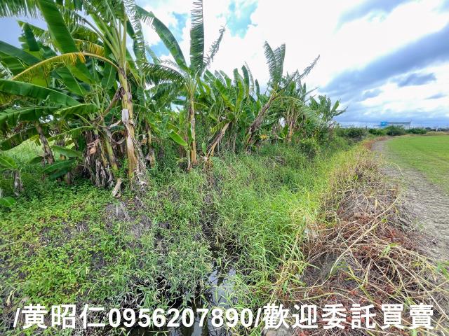 台南麻豆農地-6