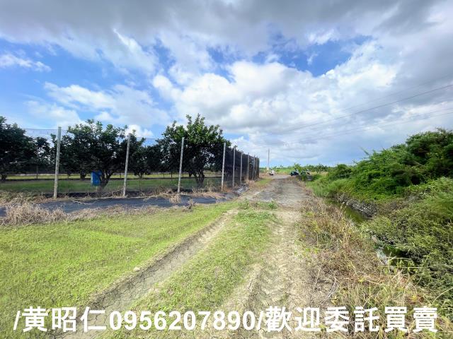 台南麻豆農地-7
