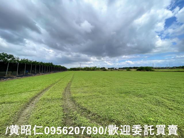 台南麻豆農地-9