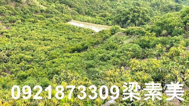 玉井農地-1