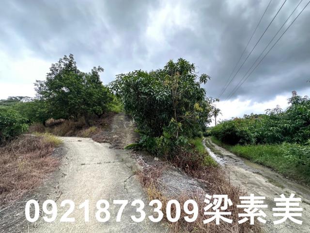 玉井農地-11