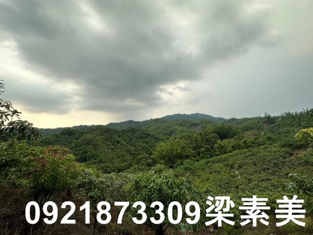 玉井農地-12