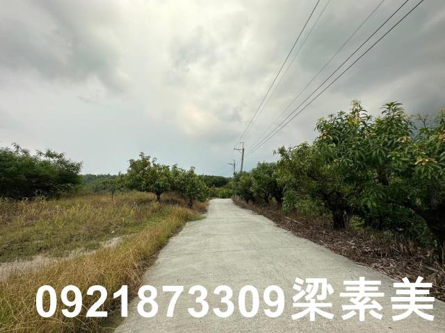 玉井農地-13