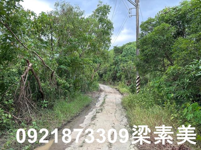 玉井農地-14