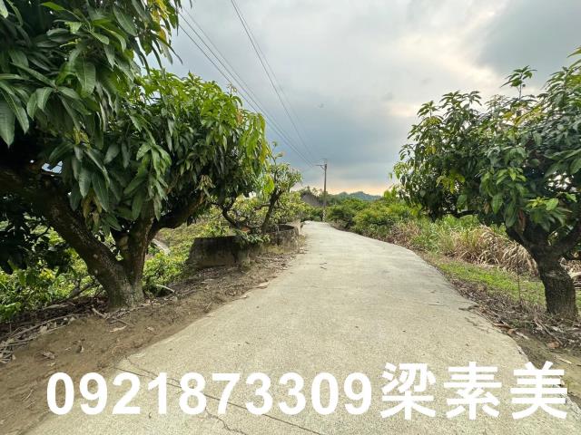 玉井農地-15